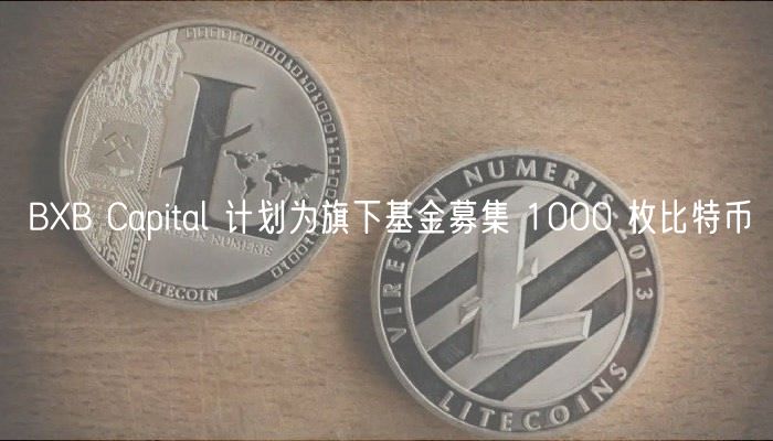 BB Capital 计划为旗下基金募集 1000 枚比特币
