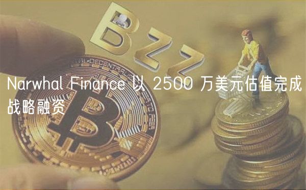 Narwhal Financ 以 2500 万美元估值完成战略融资