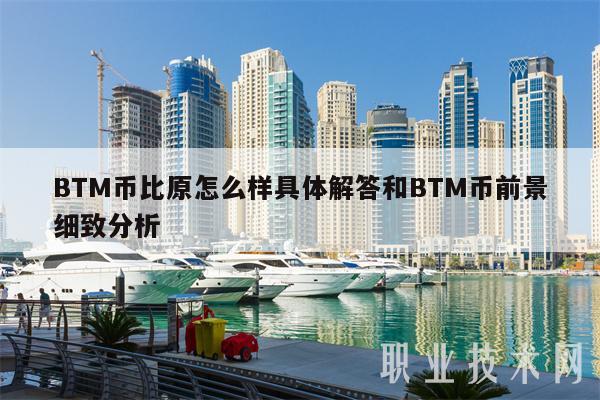 BTM币比原怎么样具体解答和BTM币前景细致分析