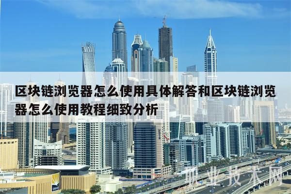 区块链浏览器怎么使用具体解答和区块链浏览器怎么使用教程细致分析