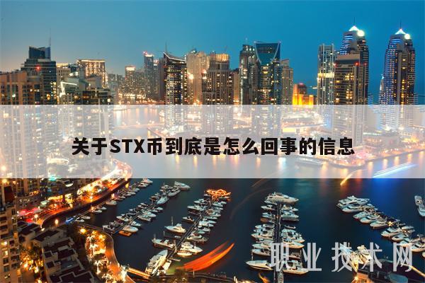 关于STX币到底是怎么回事的信息
