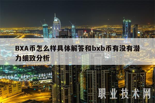 BXA币怎么样具体解答和bxb币有没有潜力细致分析