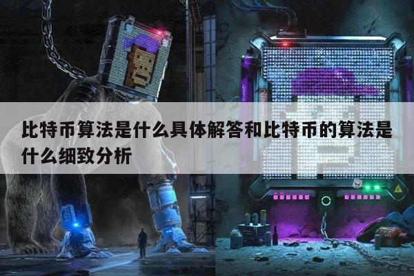 比特币算法是什么具体解答和比特币的算法是什么细致分析