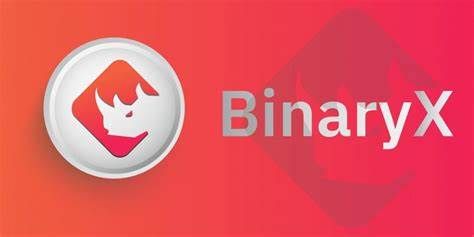 什么是BinaryX币-第1张图片-芝麻交易所下载