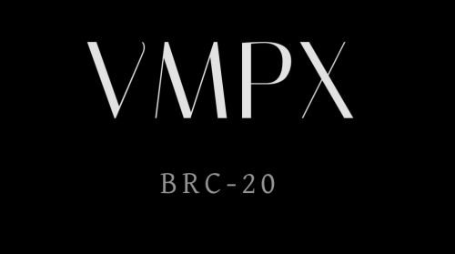 VMPX(Ordinals)币是什么?-第1张图片-芝麻交易所下载