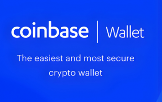 ALGO币价格为0.24美元 ALGO币未来行情预测