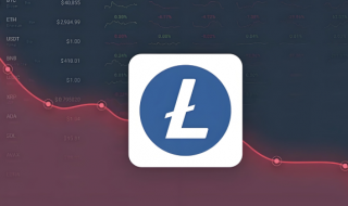 USDX币价格为0.998美元 USDX币未来会爆发吗