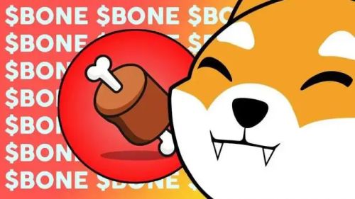 什么是Bone ShibaSwap(BONE)币-第1张图片-芝麻交易所下载