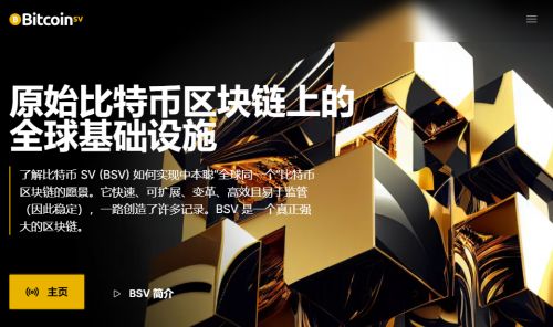 BSV币是什么币种-第1张图片-芝麻交易所下载