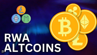 NERO币价格为0.008美元 NERO币未来有机会突破1美元吗