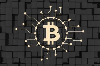 2024年数字货币排行榜前十名