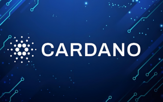 11月最新币圈交易平台推荐 11月币圈可用交易平台排行榜