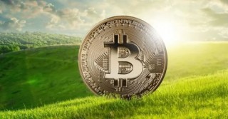 AUCTION多少钱一枚？AUCTION价格实时行情